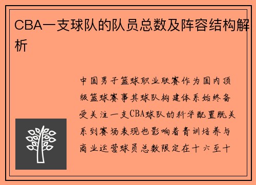 CBA一支球队的队员总数及阵容结构解析