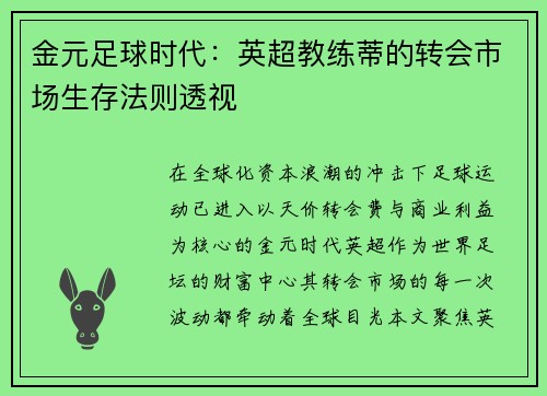 金元足球时代：英超教练蒂的转会市场生存法则透视